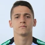 Henrique de Souza Trevisan